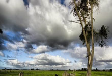 谷歌提供 46 亿美元信用担保，支持两家比特币矿企向 AI 基建转型