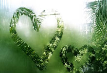 今晚美联储降息：流动性盛宴来临，比特币或重燃12万美元冲刺之火